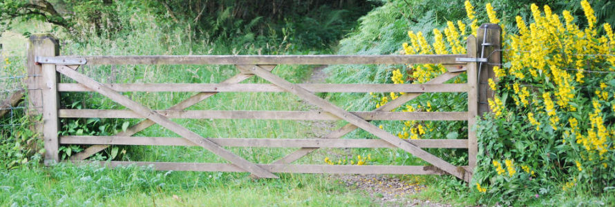 Claife Parish Council website image
